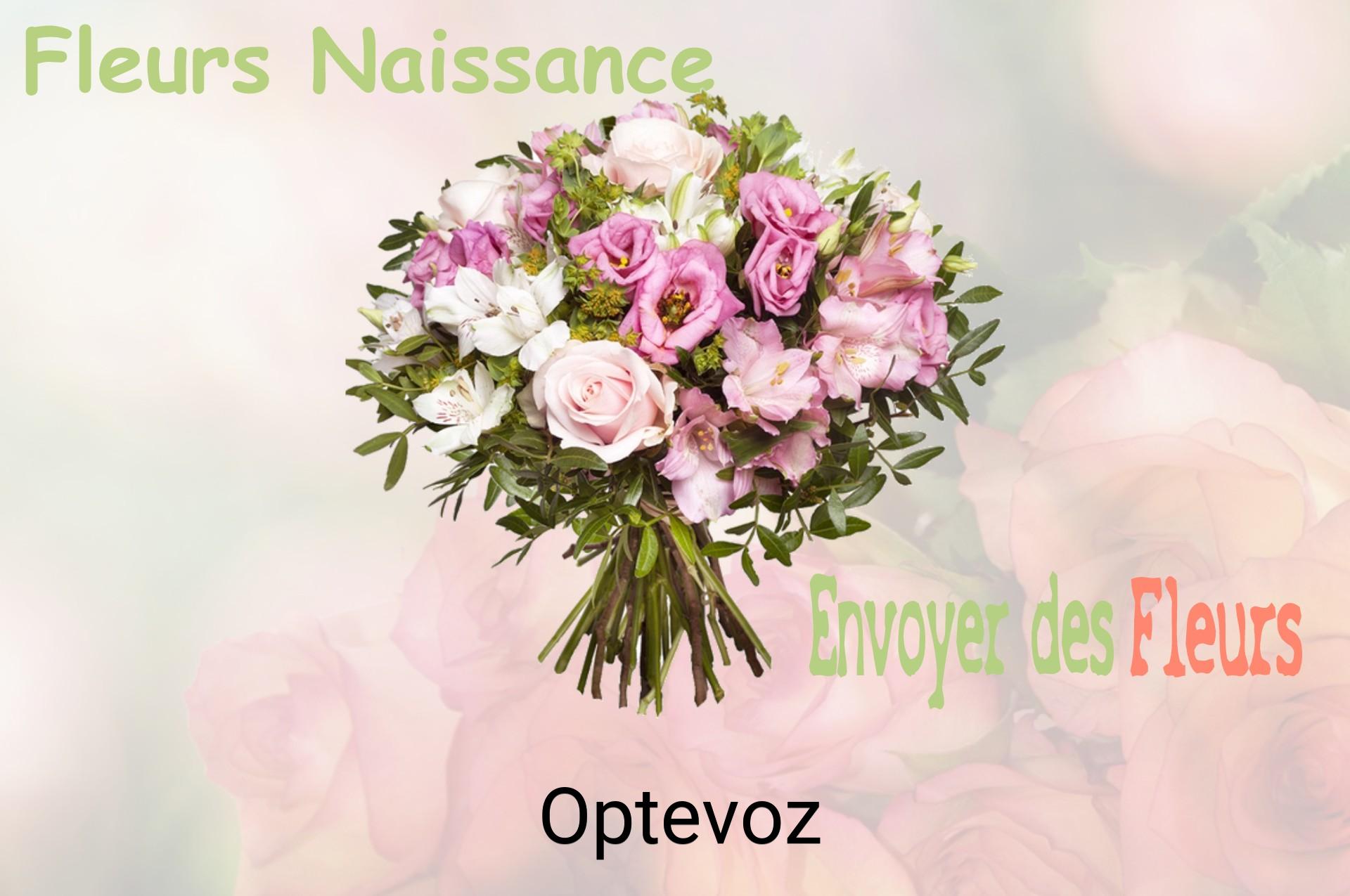 Bouquet de fleurs de naissance livré à Optevoz