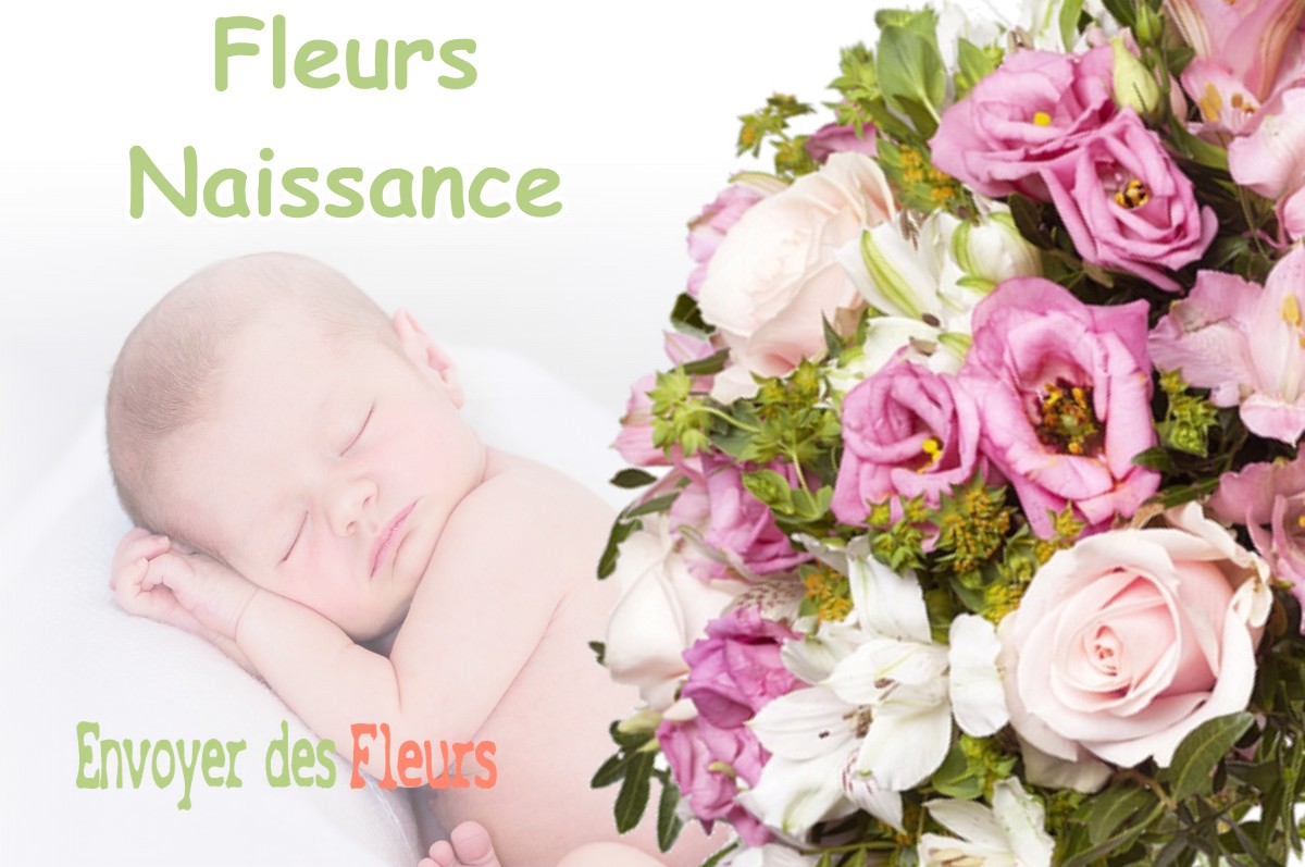 lIVRAISON FLEURS NAISSANCE à OPTEVOZ